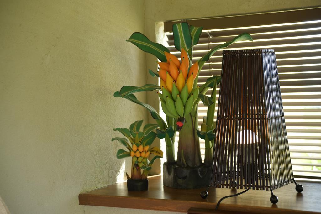 Vila La Casita Kouri Nakijin Exteriér fotografie