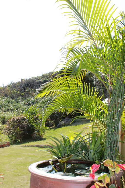 Vila La Casita Kouri Nakijin Exteriér fotografie